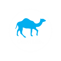 Camel Life
